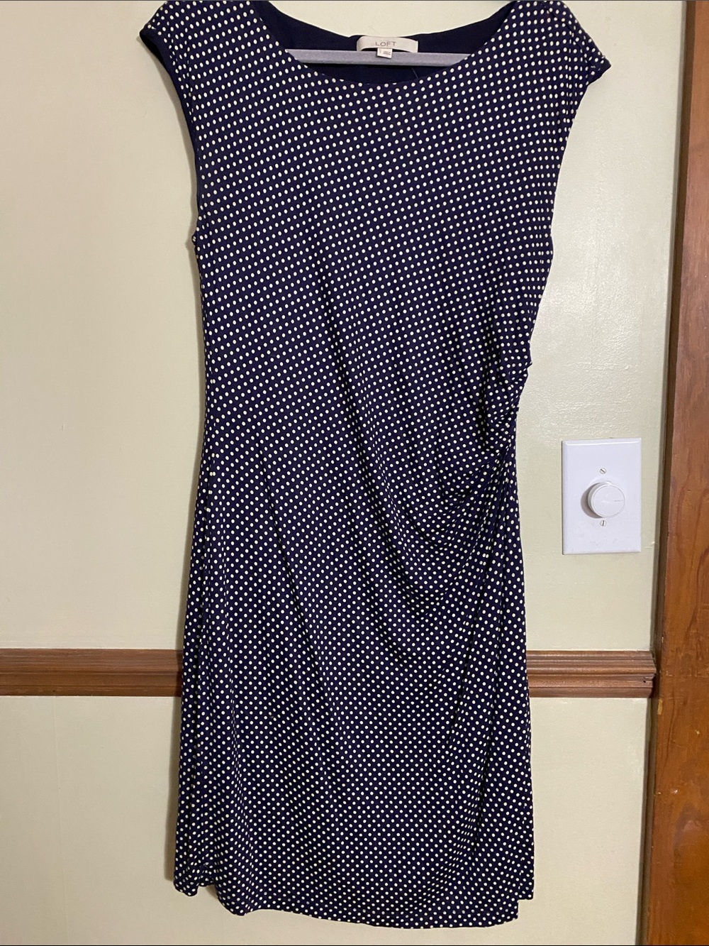 LOFT Navy and Cream Polka Dot Cap Sleeve Midi Dress